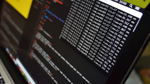 Python 3, be a paid scripting professional
