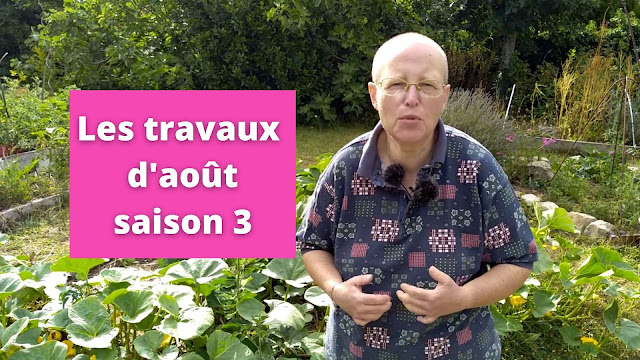 Les travaux d'août au jardin urbain en permaculture (vidéo)