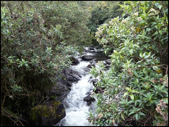 22. Torrente de aguas termales -  Viaje a Ecuador