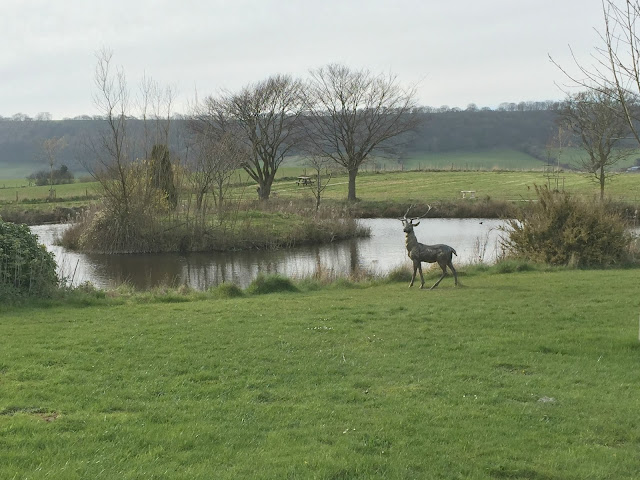 lake at ox pasture hotel