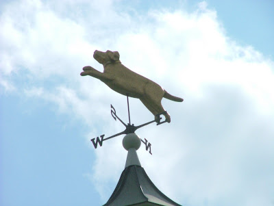 Weather vane with a golden dog