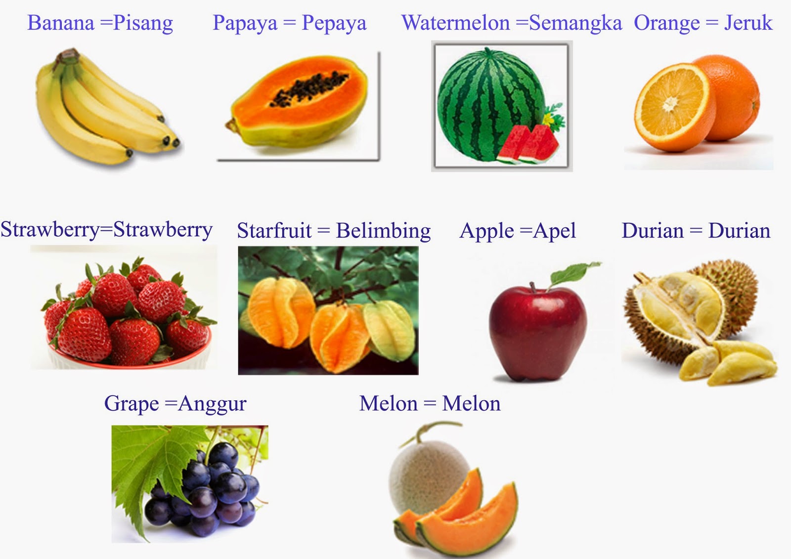 (Tugas anak sekolahan) Nama buah dan Profesi dalam bahasa