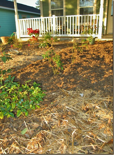 IMG_3229 IMG_3229