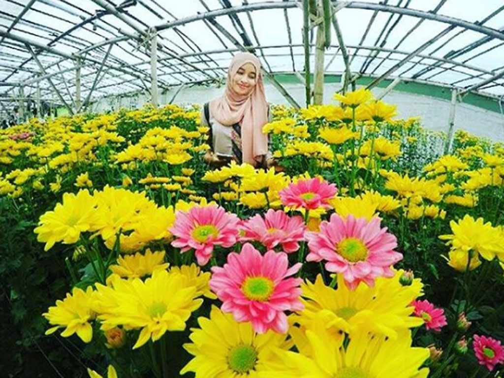 Inilah 7 Lokasi Taman  Bunga  Terbaik di  Indonesia  Yang 