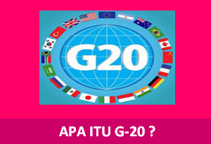 Apa Itu Negara G20 Dan Anggota G20