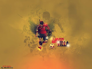 David | Villa | picture | Wallpaper