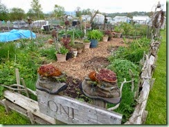 ColonFarm garden3