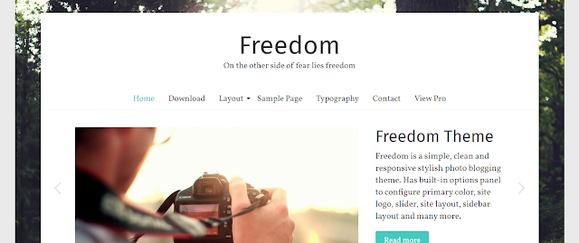 free wordpress personal blog themes