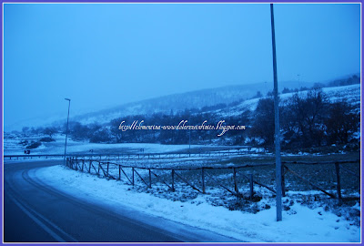 NEVE SULLA STRADA A SAN GIOVANNI ROTONDO