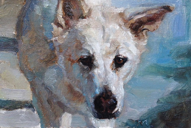 Beach Dog Painting by Heather Lenefsky.  Oil on canvas, portrait of a Wolf Hybrid in Cardiff-by-the-Sea 