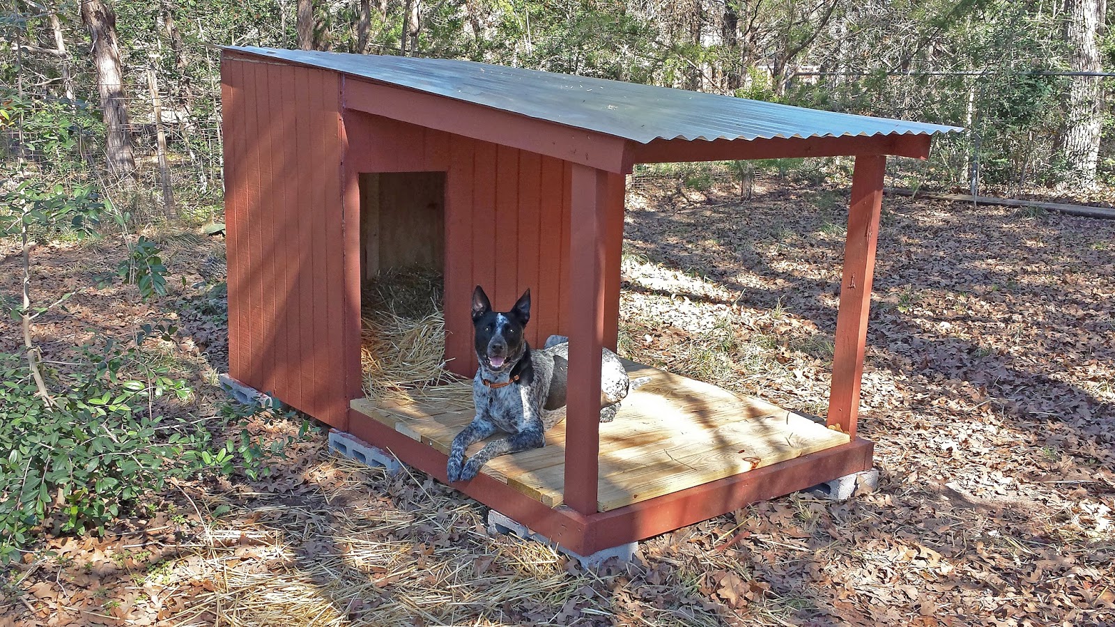 Outdoor storage sheds walmart, building plans pdf, diy dog