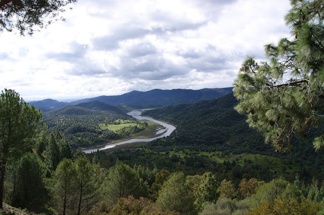 Ruta Ornitológica en el Río Guadalmellato