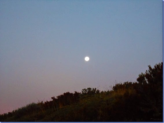 DSCN2538