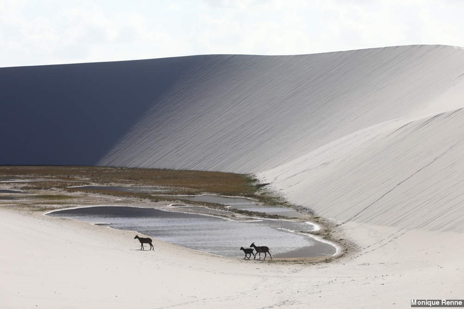 Lagoa das Emendadas – Santo Amaro do Maranhao, foto: Monique Renne