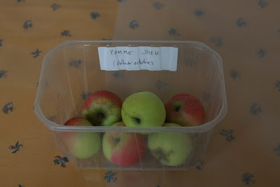 Pommes du pays de redon