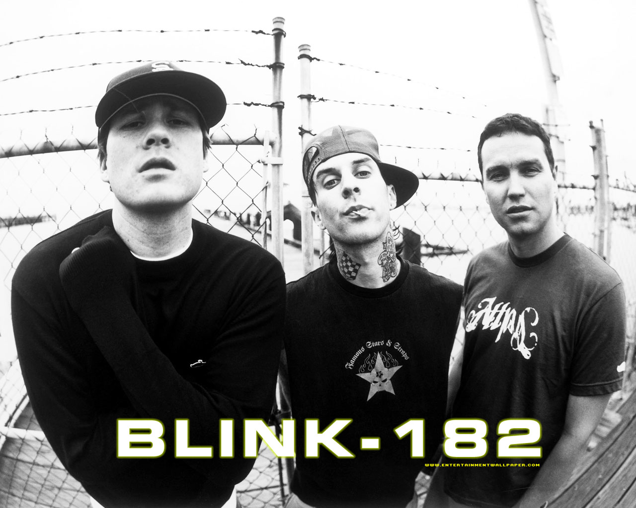 THE PINK TOOTHBRUSH BLOG..: Blink-182 cancel tour