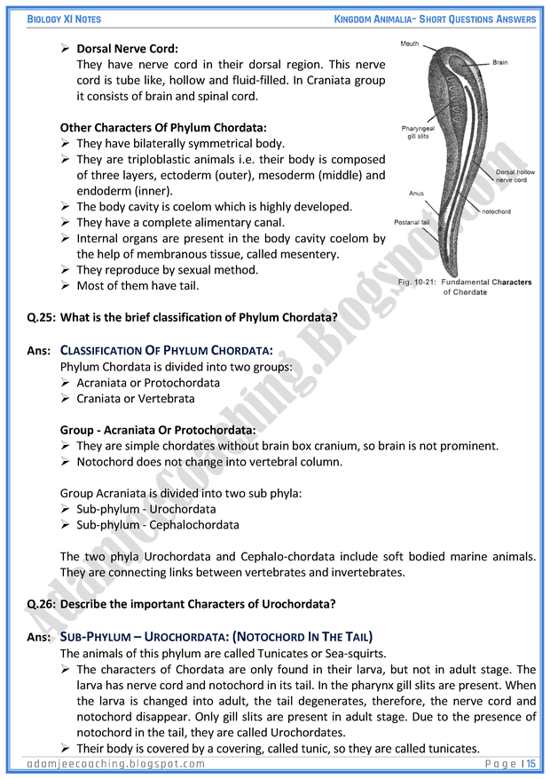 kingdom-animalia-short-question-answers-biology-11th