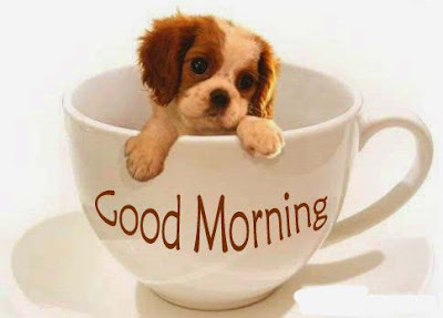 dogy-says-good-morning