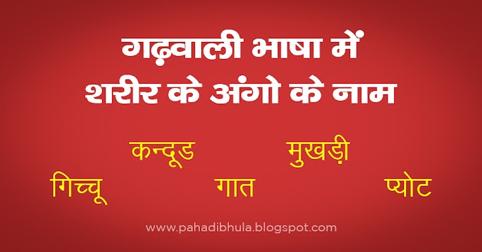 Learn Garhwali - Parts of Body Name in Garhwali