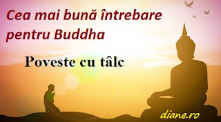 Cea mai bună întrebare pentru Buddha: Poveste cu tâlc