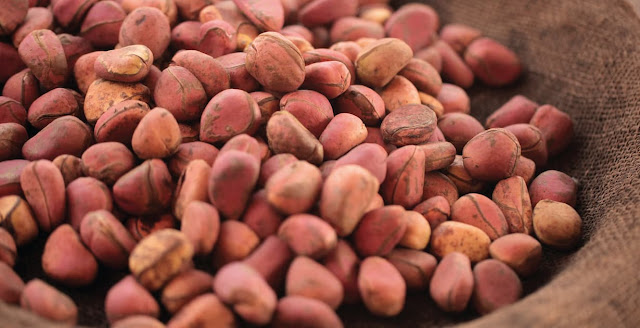 What are Kola Nuts?