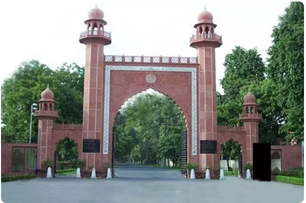 Aligarh Muslim University: A Premier Institution in Aligarh, Uttar Pradesh, India