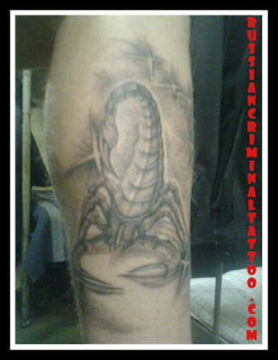 Scorpion Tattoo