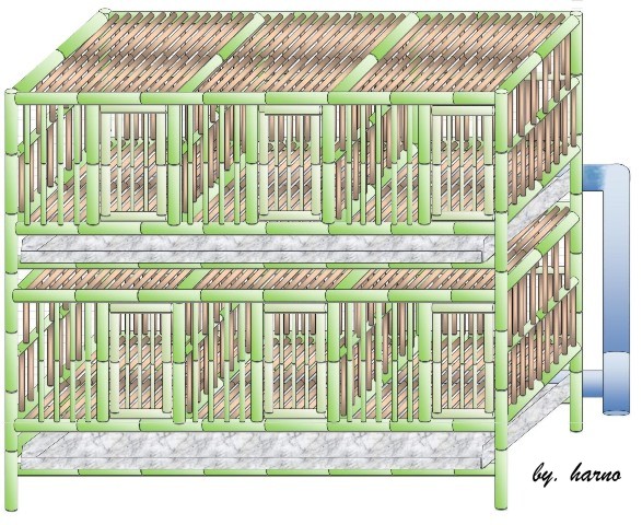 cemani jogja contoh gambar  kandang ayam 