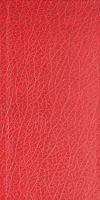 Textured Red Leather