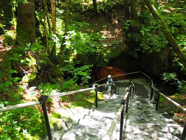 富士パノラマライン　富岳風穴　青木ヶ原樹海