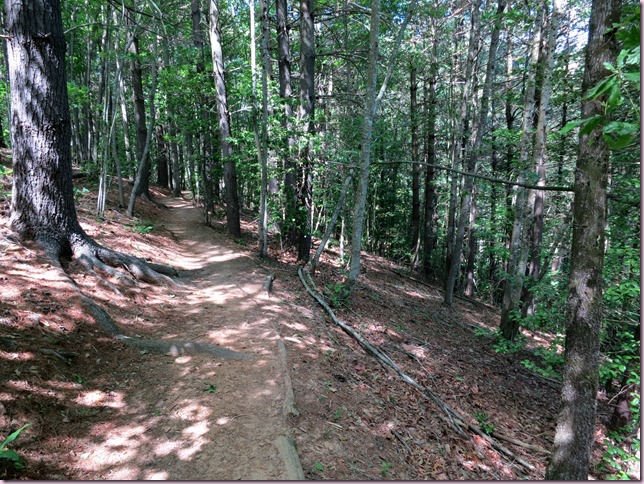 TrailIMG_3987