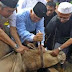 Ketentuan Qurban dan Aqiqah dalam Islam , Pengertian, Persamaan, Perbedaan serta Hikmahnya