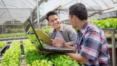 Cara Menciptakan Peluang Bisnis di Sektor Pertanian