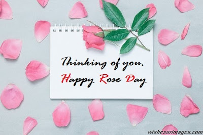 Rose Day HD Images