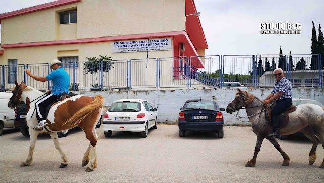 Ναύπλιο: Στην κάλπη με τα άλογα (βίντεο)