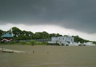 Sundarban Natural Mangrove Forest