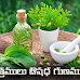 ఆయుర్వేద పత్రం - పత్రములు ఔషధ గుణములు - Ayurvedic Leaves and medicinal use