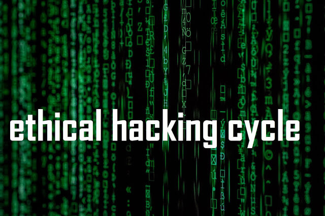 Download parts of the full ethical hacking cycle: from novice to advanced