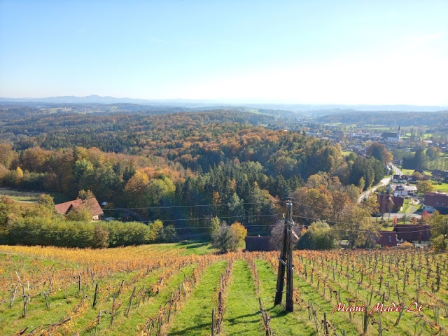 Schilcherland Steiermark - Schilcher Wine Route Styria