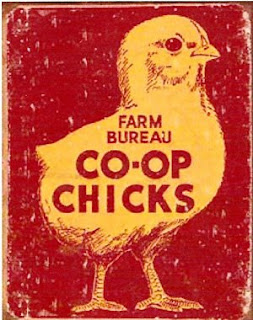 Southern Green Living: Chicken Coop Names