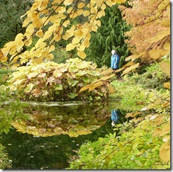 benmore reflections