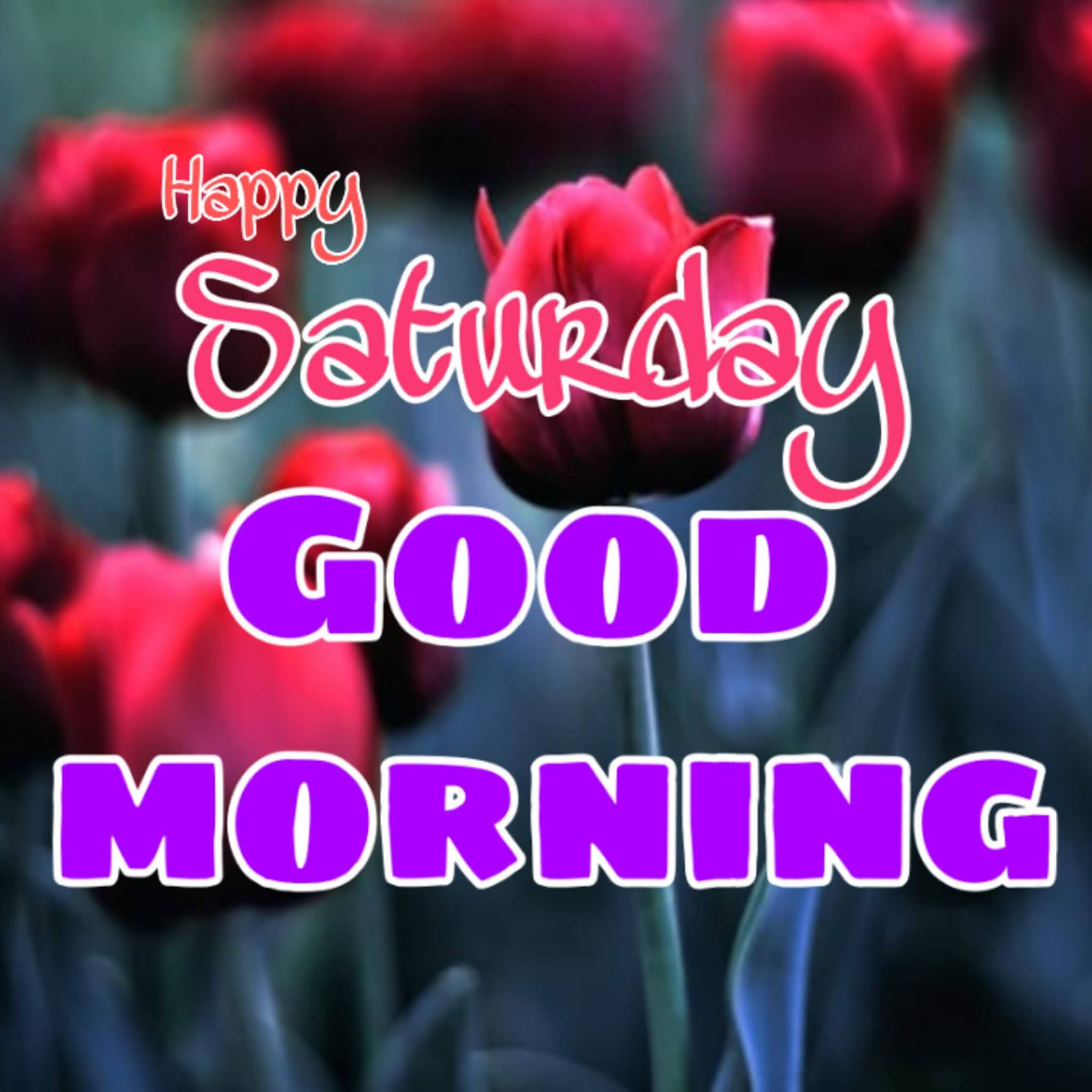 55 Good Morning Happy Saturday Images Pictures Photo Wallpaper Free Download Best Wishes Image