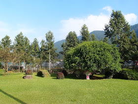 Tai-Yi Ecological Leisure Farm