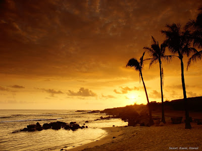 nature wallpapers for computer