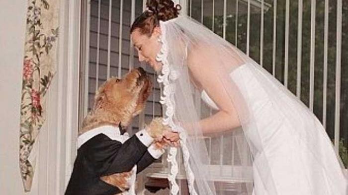 Frustrasi dengan Laki-laki, Wanita Ini Menikah dengan Anjing
