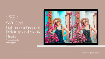 Soft Cool Lightroom Presets Dekstop and Mobile Gratis