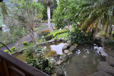 Villa di Kawah Putih Ciwidey Bandung