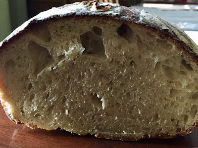 learning to create an open crumb