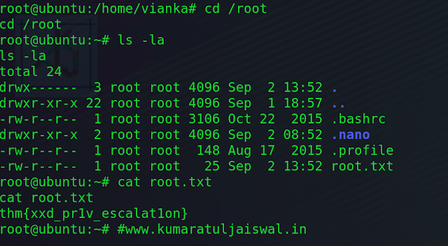 TryHackMe Res Redis pentesting Walkthrough