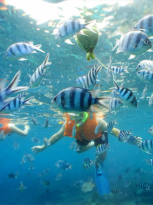 Donde practicar Snorkeling en Islas del Caribe